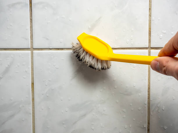 Best Local Mold Removal Service  in Fleetwood, PA