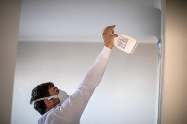 Professional Mold Removal in Fleetwood, PA