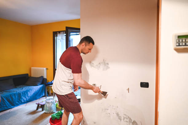 Best Crawl Space Mold Removal  in Fleetwood, PA